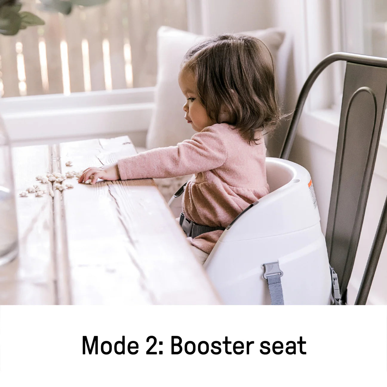 Ingenuity Baby Base 2-in-1 Booster Feeding and Floor Seat