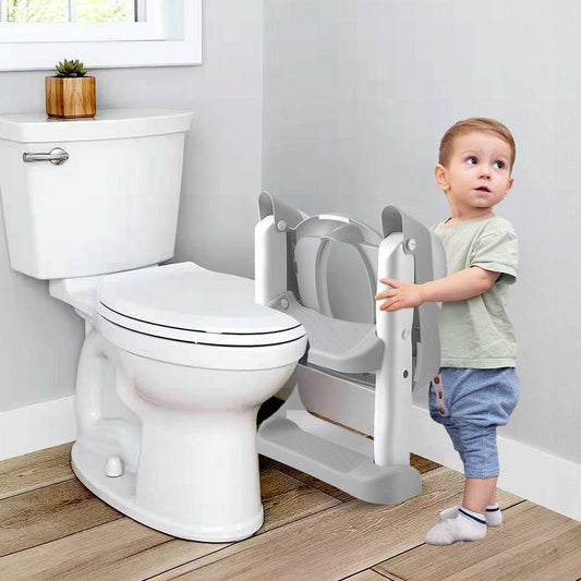 Potty Seat With Ladder