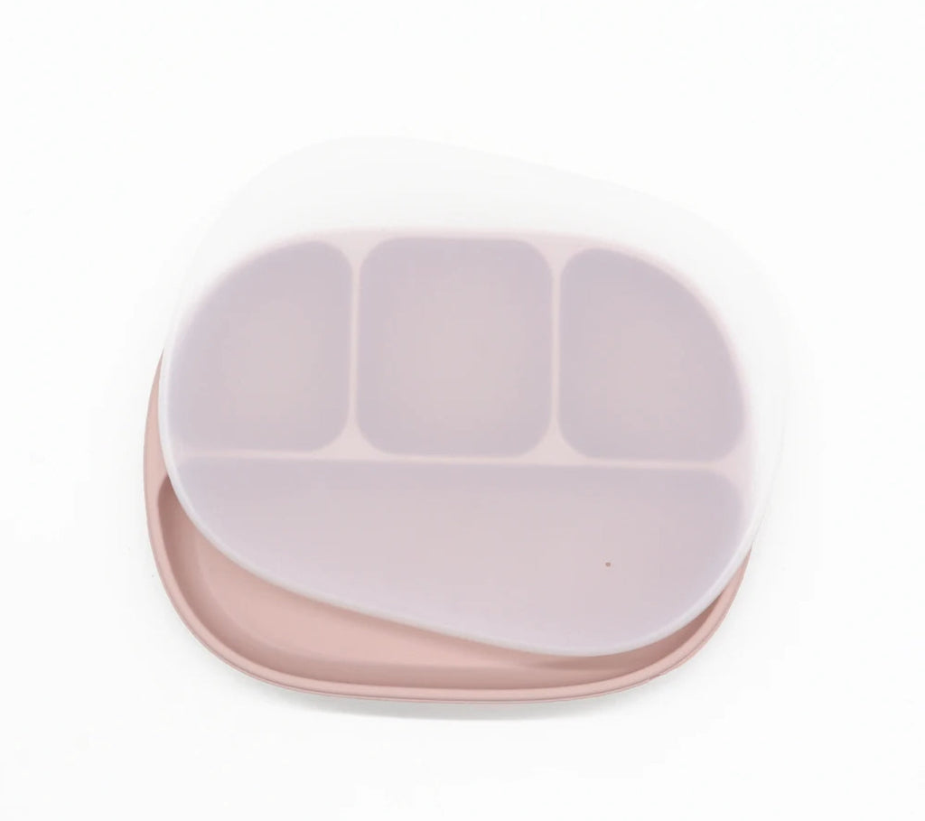 4 Division Plate  Nel's Babies & Kiddies