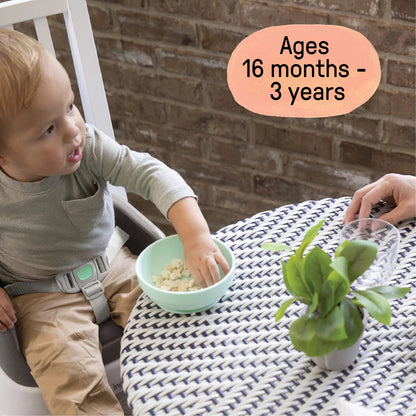 Ingenuity SmartClean Toddler Booster Seat, Slate  Nel's Babies & Kiddies